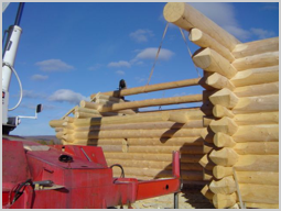 Building a Log Home